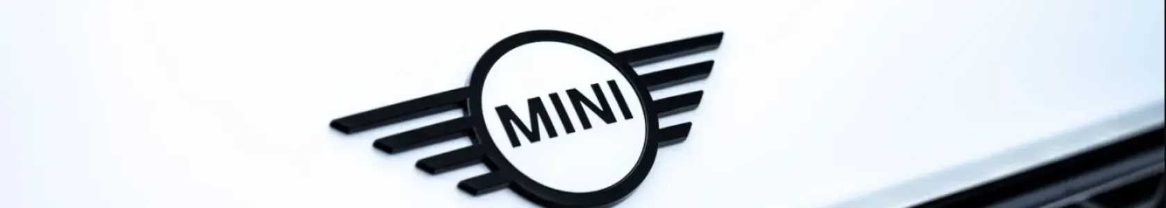 logo mini 
