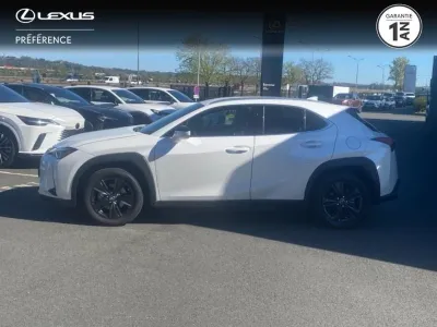 LEXUS UX 250h 2WD Luxe occasion 2024 - Photo 3