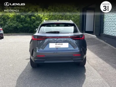 LEXUS NX 350h Pack Business 2WD MY25 occasion 2025 - Photo 4
