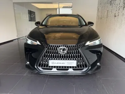 LEXUS NX 350h Luxe 2WD MY24 occasion 2024 - Photo 3
