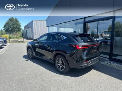 LEXUS NX 350h Luxe 2WD MY25 occasion 2024 - Photo 2