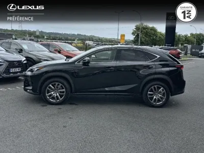 LEXUS NX 300h 4WD Luxe Plus MY21 occasion 2021 - Photo 3