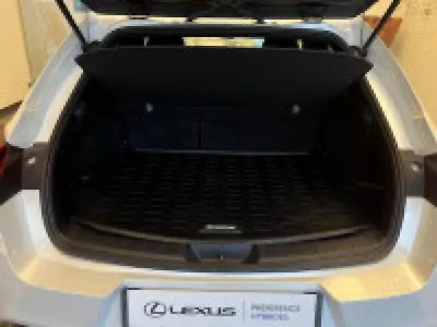 LEXUS UX 250h 2WD Luxe MY20 occasion 2020 - Photo 3
