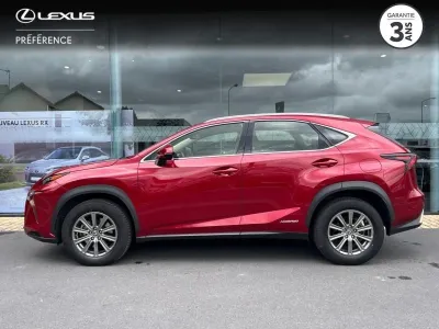 LEXUS NX 300h 2WD Business Euro6d-T occasion 2018 - Photo 3