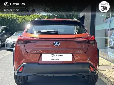 LEXUS UX 250h 2WD Pack Business MY21 occasion 2020 - Photo 4