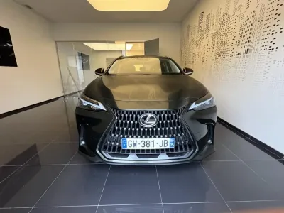 LEXUS NX 350h Pack 2WD MY24 occasion 2024 - Photo 2
