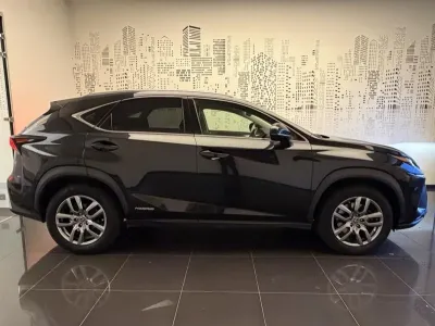 LEXUS NX 300h 4WD Luxe Euro6d-T occasion 2019 - Photo 4