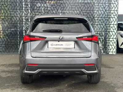 LEXUS NX 300h 2WD Luxe Plus MY21 occasion 2021 - Photo 4