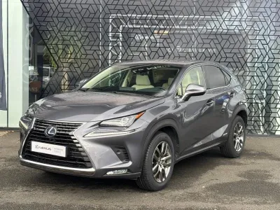 LEXUS NX 300h 2WD Luxe Plus MY21 occasion 2021 - Photo 1