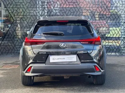 LEXUS UX 250h 4WD Executive MY20 occasion 2020 - Photo 4