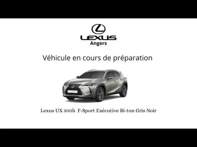 LEXUS UX 250h F SPORT Executive 2WD occasion 2024 - Photo 1