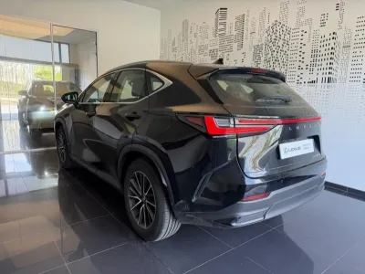 LEXUS NX 350h Pack 2WD MY25 occasion 2024 - Photo 3