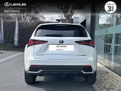 LEXUS NX 300h 4WD Executive Euro6d-T occasion 2019 - Photo 4