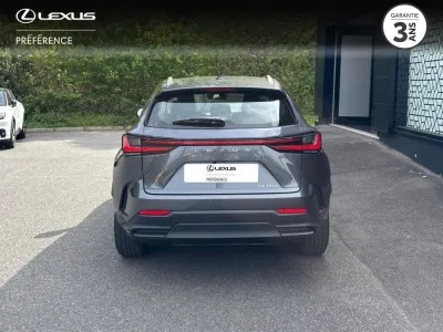 LEXUS NX 350h Pack 2WD MY24 occasion 2023 - Photo 4