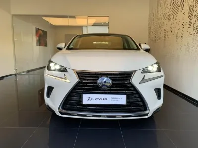 LEXUS NX 300h 2WD Executive Innovation MY21 occasion 2021 - Photo 2