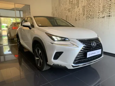LEXUS NX 300h 2WD Executive Innovation MY21 occasion 2021 - Photo 3