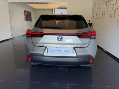 LEXUS UX 250h 2WD Premium Edition MY22 occasion 2020 - Photo 1