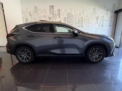 LEXUS NX 350h Luxe 2WD MY25 occasion 2024 - Photo 4