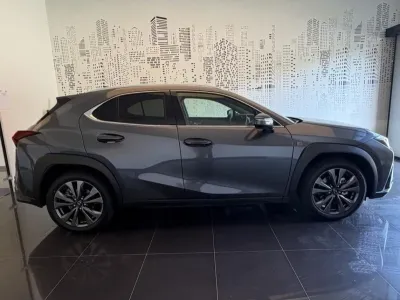 LEXUS UX 300h F SPORT Design MY26 occasion 2026 - Photo 4