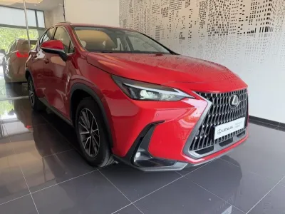 LEXUS NX 350h Pack Business 2WD occasion 2023 - Photo 3