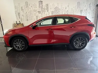 LEXUS NX 350h Pack Business 2WD occasion 2023 - Photo 4