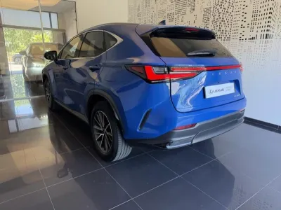 LEXUS NX 350h Luxe 2WD MY24 occasion 2023 - Photo 4