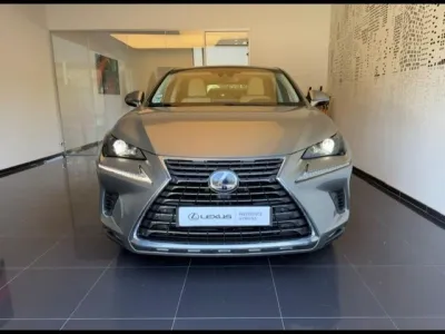 LEXUS NX 300h 4WD Luxe  MY20 occasion 2018 - Photo 2