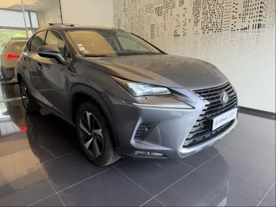 LEXUS NX 300h 2WD Executive Innovation MY21 occasion 2021 - Photo 3