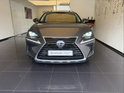 LEXUS NX 300h 2WD Executive Innovation MY21 occasion 2021 - Photo 2