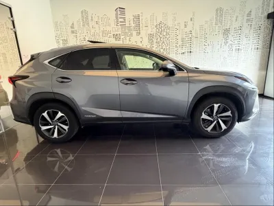 LEXUS NX 300h 2WD Executive Innovation MY21 occasion 2021 - Photo 4