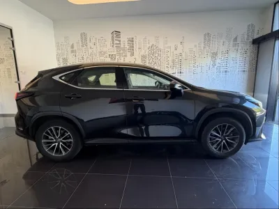LEXUS NX 350h Pack Business 2WD MY24 occasion 2024 - Photo 4