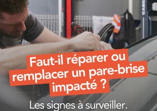 VIGNETTE ARTICLE (2)