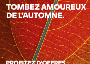 VISUEL CAMPAGNE AUTOMNE SPOTIFY