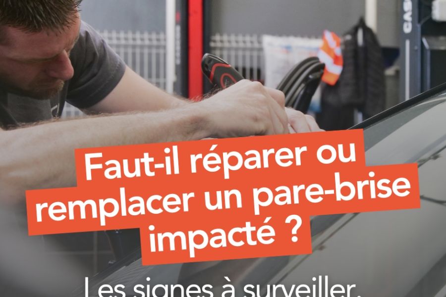 VIGNETTE ARTICLE (2)