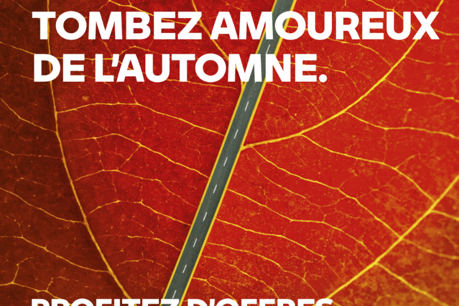 VISUEL CAMPAGNE AUTOMNE SPOTIFY