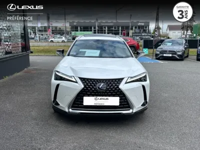 LEXUS UX 250h 2WD Executive MY20 occasion 2020 - Photo 3
