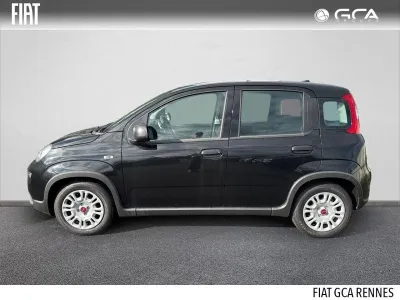 FIAT Panda 1.0 70ch BSG S&S occasion 2024 - Photo 3
