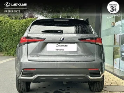 LEXUS NX 300h 4WD Luxe MY20 occasion 2020 - Photo 4