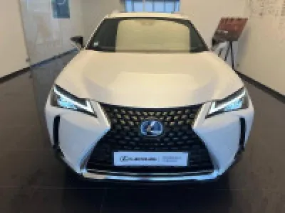 LEXUS UX 250h 2WD Luxe MY20 occasion 2020 - Photo 2