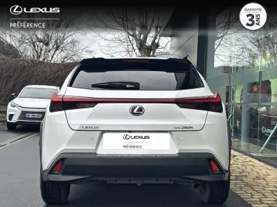 LEXUS UX 250h 2WD Luxe MY20 occasion 2020 - Photo 4