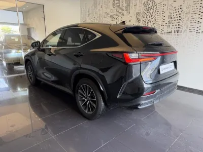 LEXUS NX 450h+ Luxe 4WD MY24 occasion 2024 - Photo 3