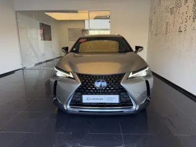 LEXUS UX 250h 2WD Pack Business Plus MY20 occasion 2020 - Photo 3