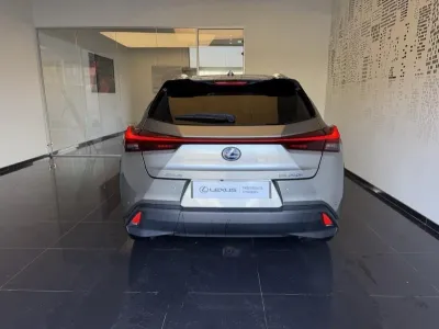 LEXUS UX 250h 2WD Pack Business Plus MY20 occasion 2020 - Photo 1