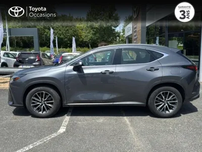 LEXUS NX 350h Pack Business 2WD occasion 2022 - Photo 3